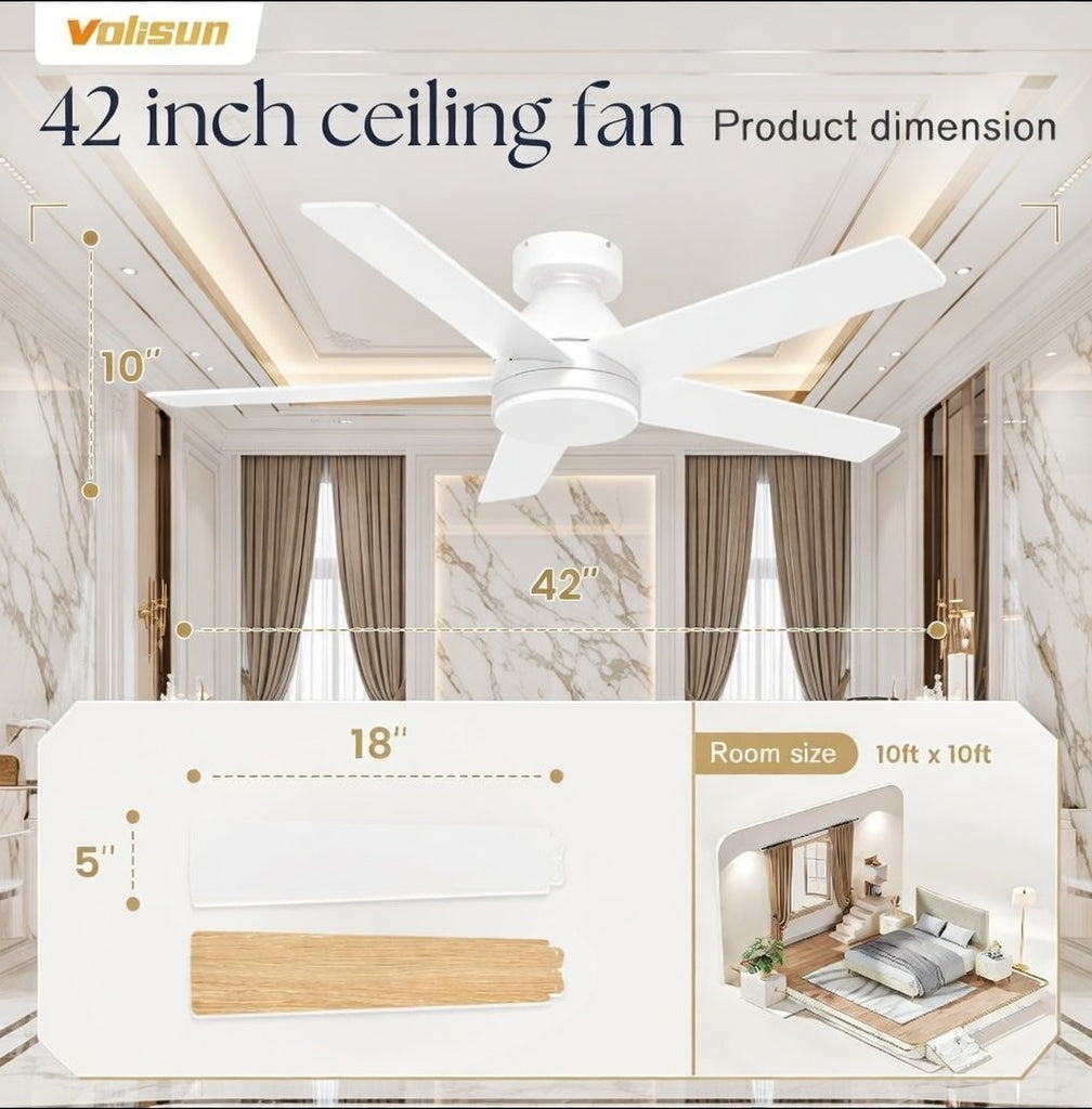 Louvain Serene Orbit