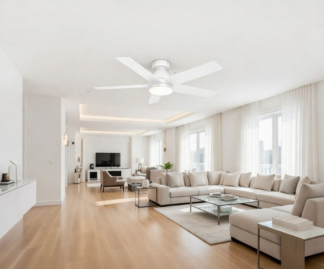 Louvain Serene Orbit