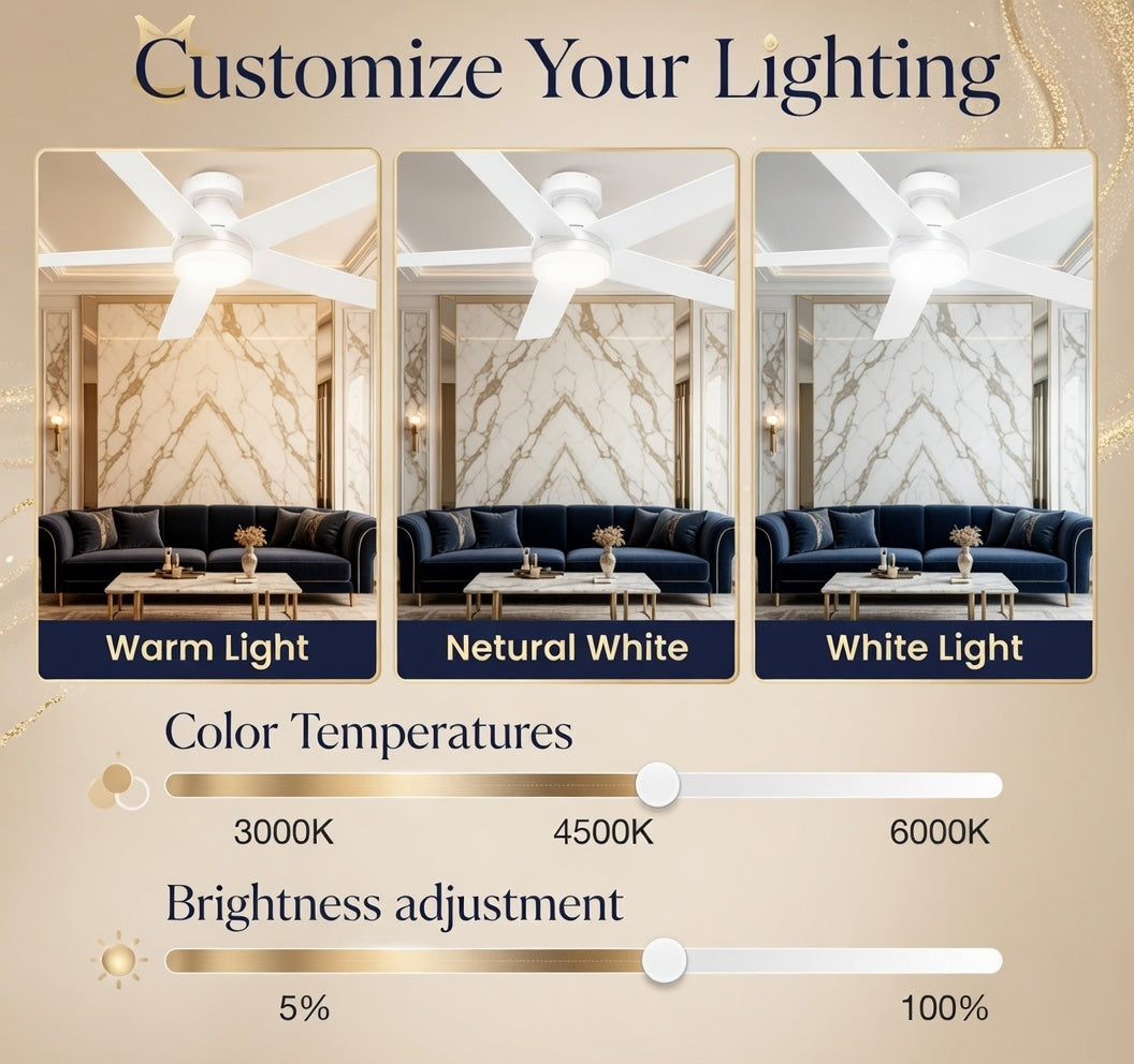 Louvain Serene Orbit